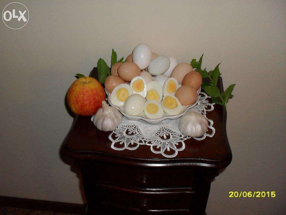 Jaja z ekologicznego certyfikowanego gospodarstwa ( dostawa )