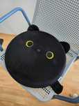 Seat cushion- cute cat