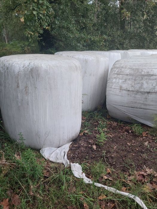 Vendo rolos fenosilagem