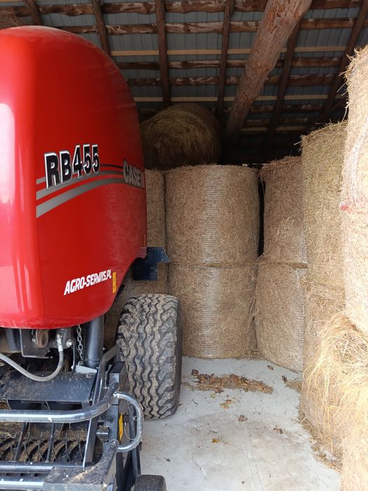 Sprzedam siano bele 130