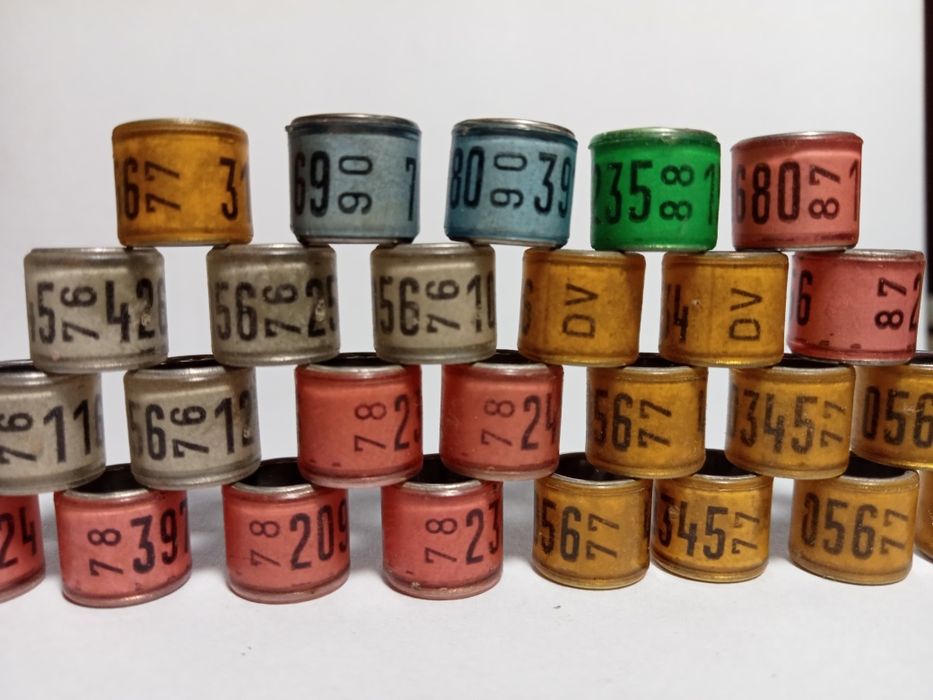 Stare obrączki dla gołębi DV