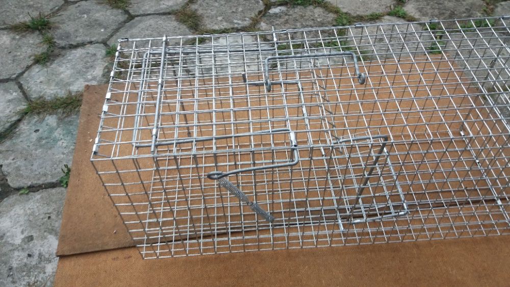 Klatka na szczury
