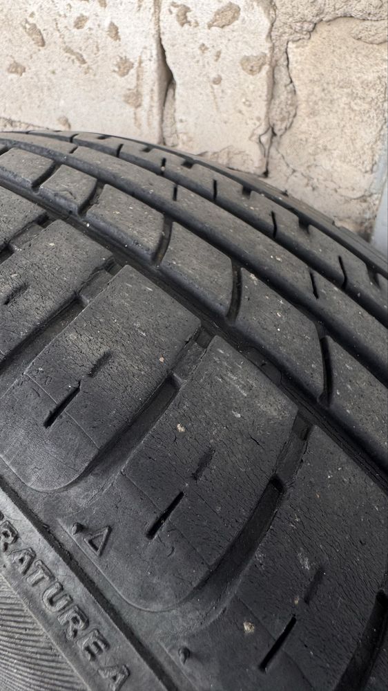 АвтоШини r15 Petlas