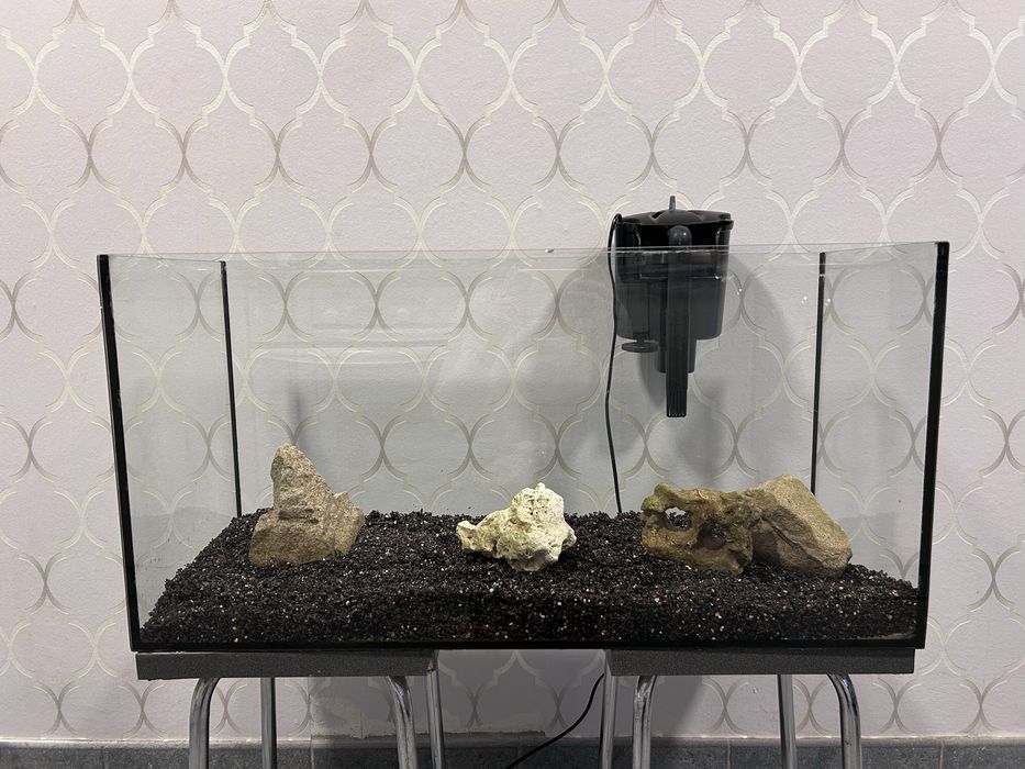 Akwarium szklane z wyposażeniem 72 l