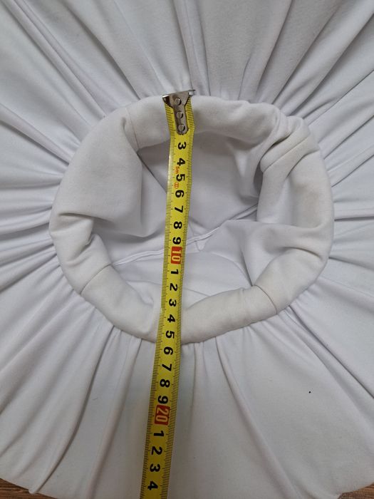 Мухомор, білий гриб, коричневий гриб