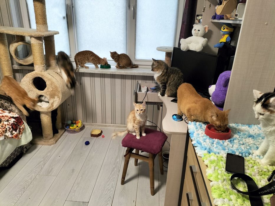 Буду вдячна за допомогу для хвостиків