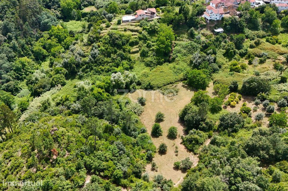 .Terreno Rustico | Bera |Almalaguês