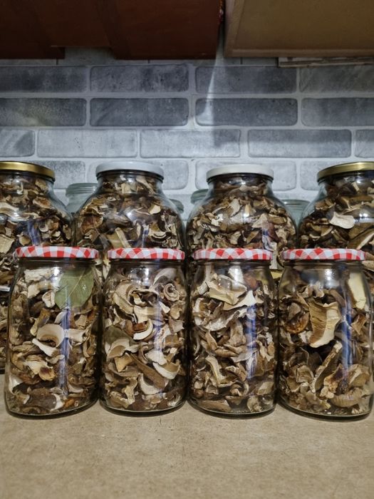 Grzyby marynowane oraz suszone Zapraszam