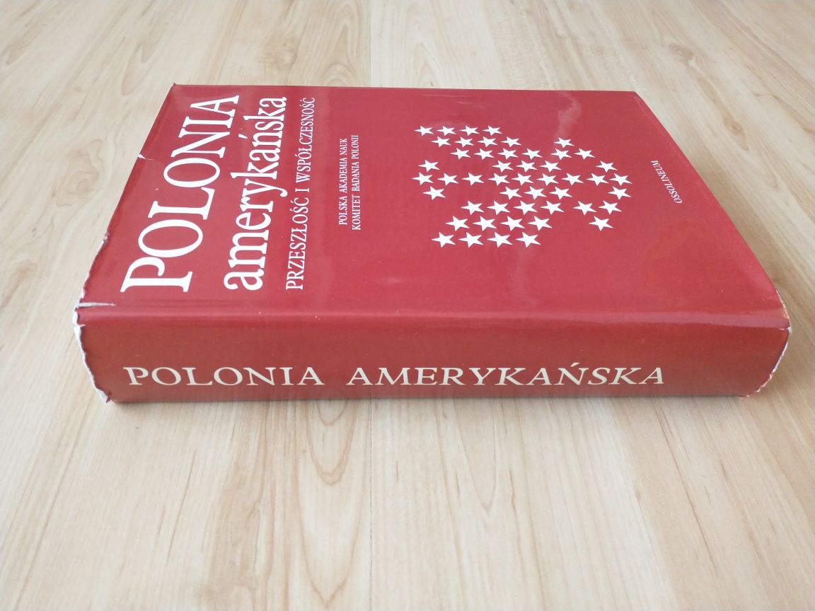 Polonia amerykańska przeszłość i współczesność