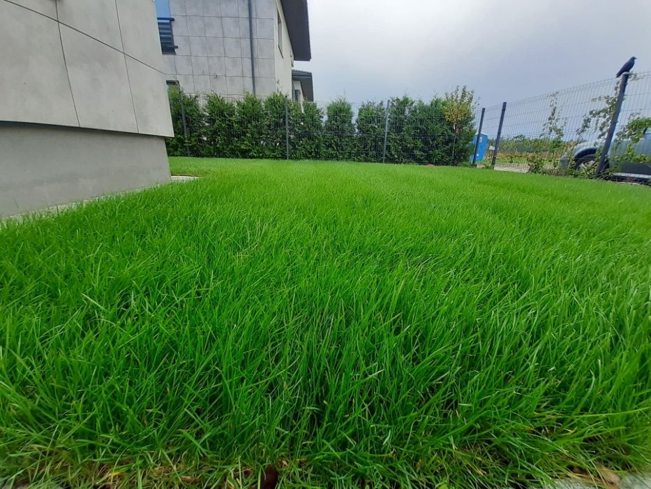 Ogrody, zakładanie, pielęgnacja, nawadnianie