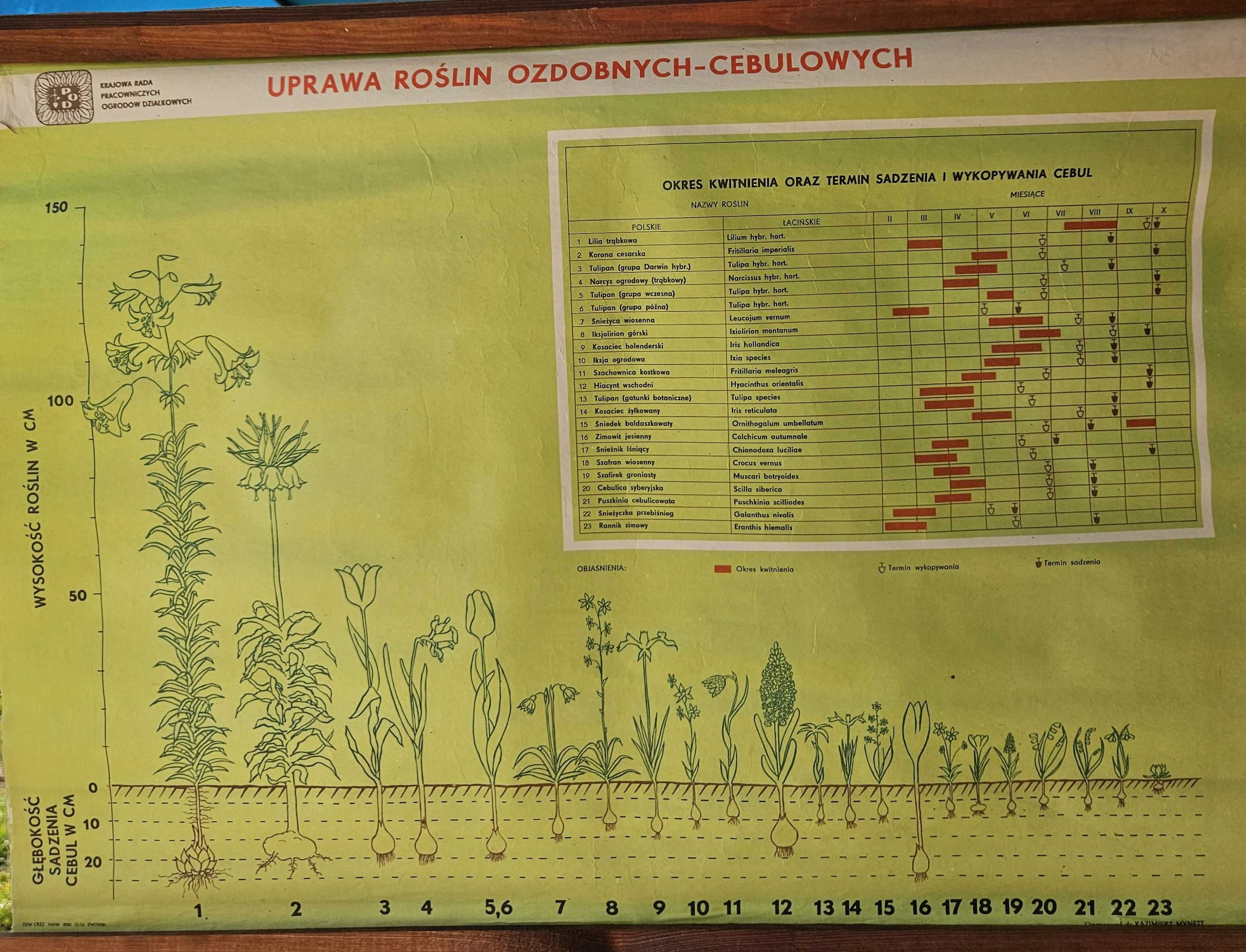 Tablica instruktażowa ogrodnicza