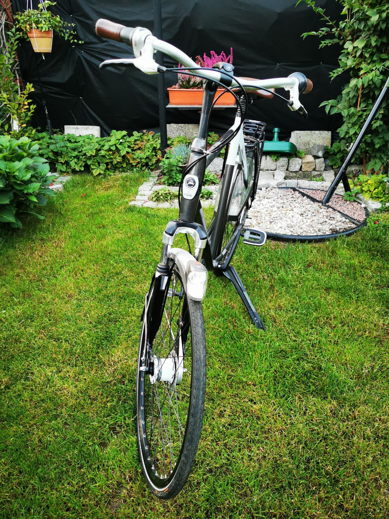 Gazelle Eclipse Limited Edition