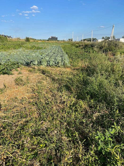 Три земельні ділянки біля Львова/Земельна ділянка/Велика ділянка