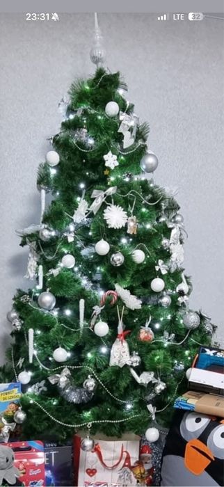 Ялинка       Ялинка- сосна