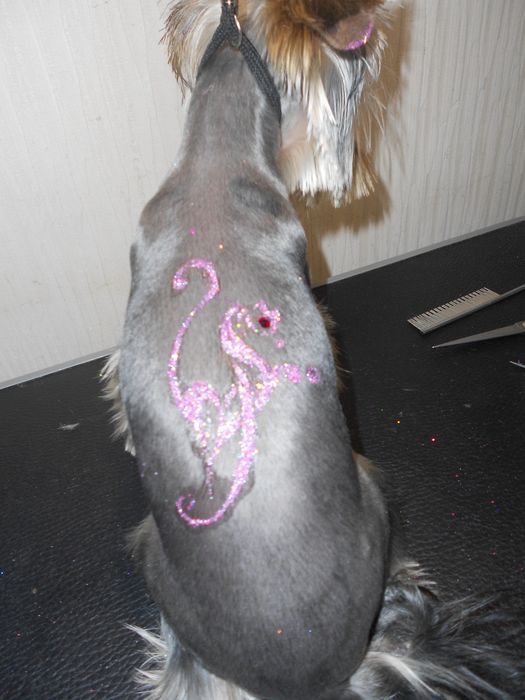 Стрижка собак и кошек