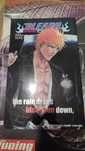 Manga Bleach e Pokémon go livro