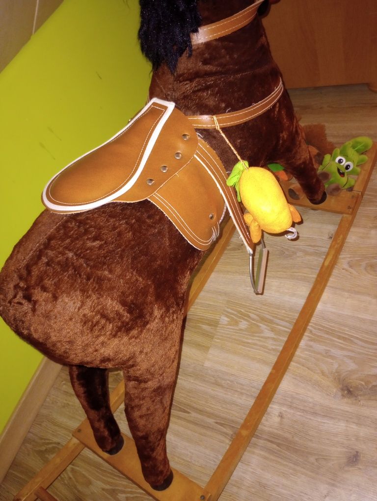 Koń na biegunach