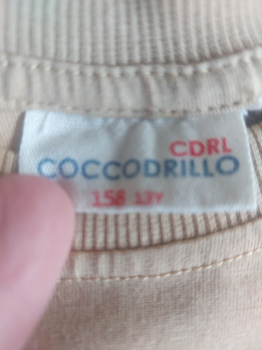 Bluzeczki 158 chłopiec Zara Cocodrillo bawełna