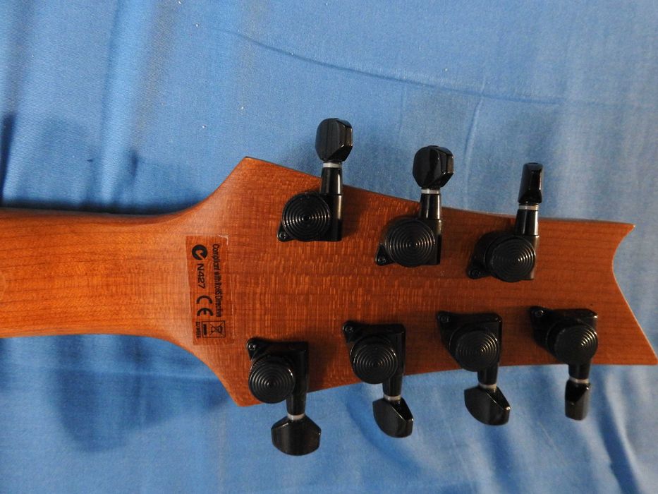 Gitara elektryczna Harley Benton R-457FFB (Mocno Doinwestowany)