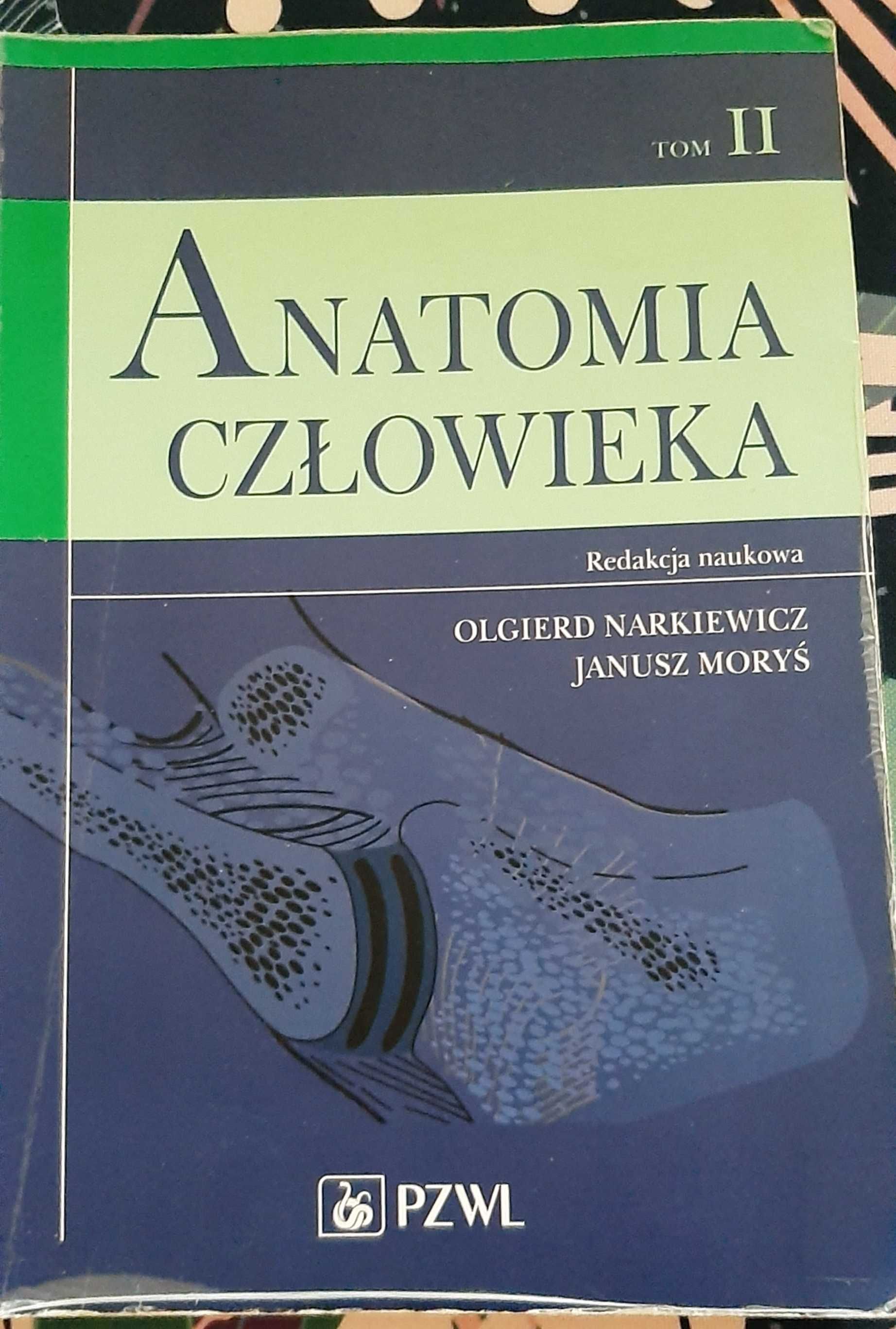Anatomia człowieka Moryś Tom 2