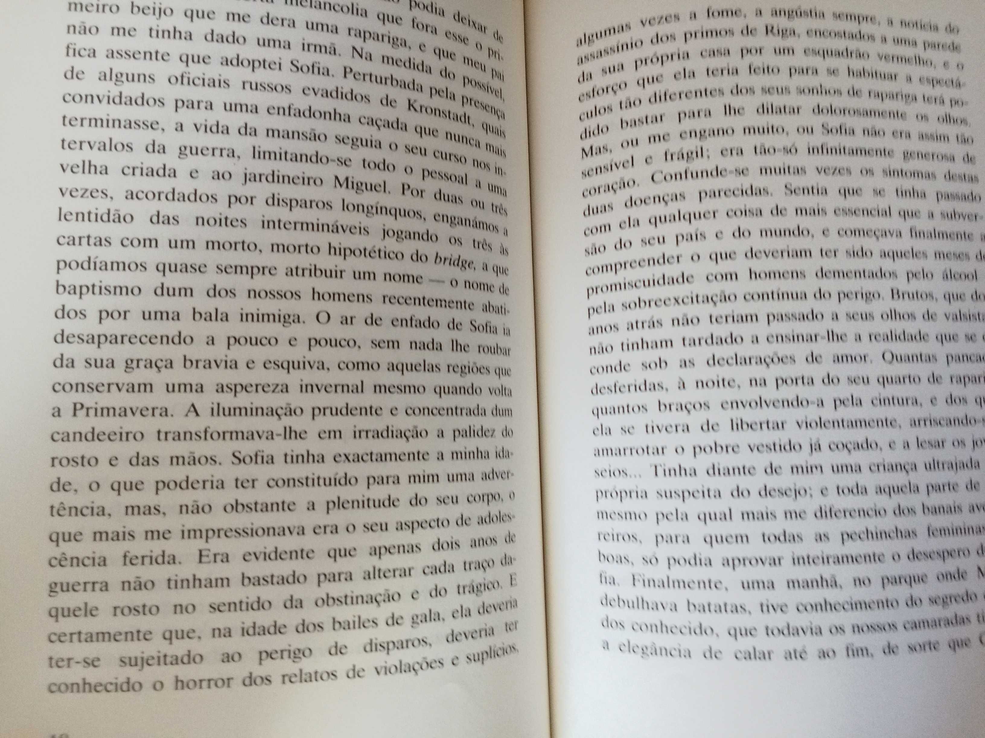 Marguerite Yourcenar - O golpe de Misericórdia