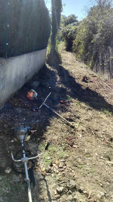 Fazemos limpeza de terrenos