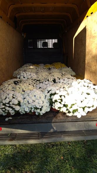 Transport i Przeprowadzki.TANIO OD 50zł.Taxi Bagażowe Szybko.Duże Auto