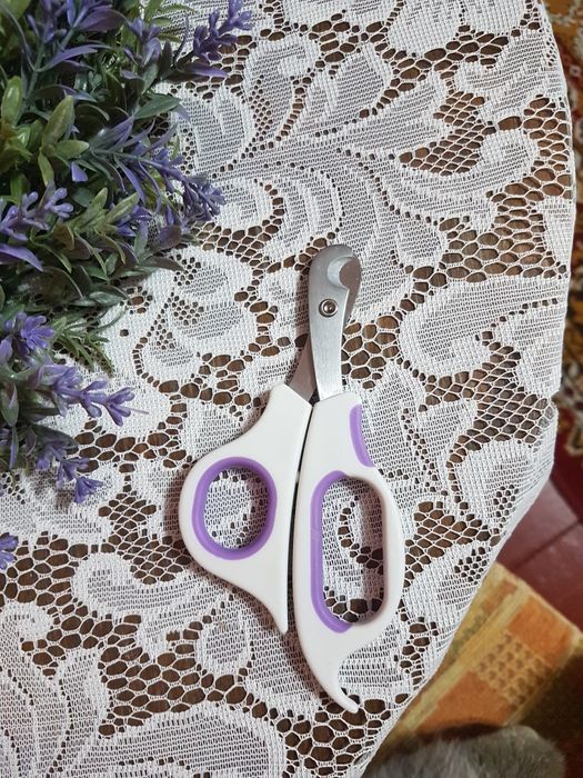 Nożyczki do paznokci dla kotów