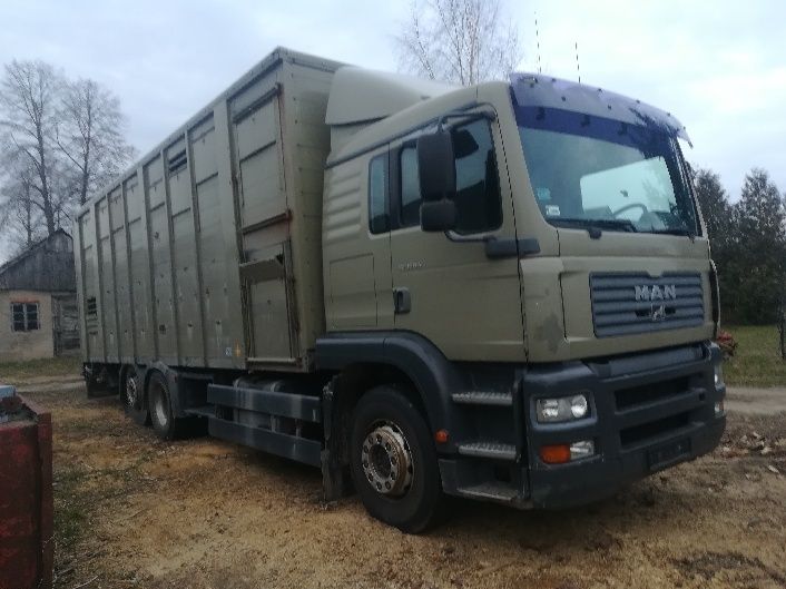 MAN TG360A do przewozu zwierząt
