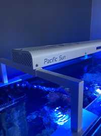 Pacific Sun 2 x 75 LED W akwarium morskie