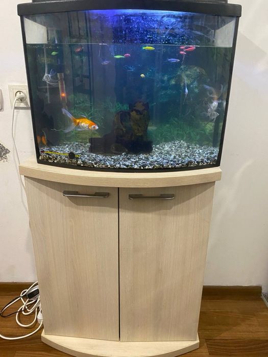 Аквариум с тумбой и рыбками