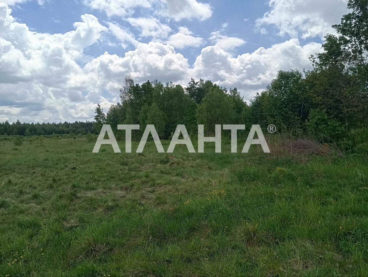 Продаж земельної ділянки у Жовсківському районі, с.Кунин