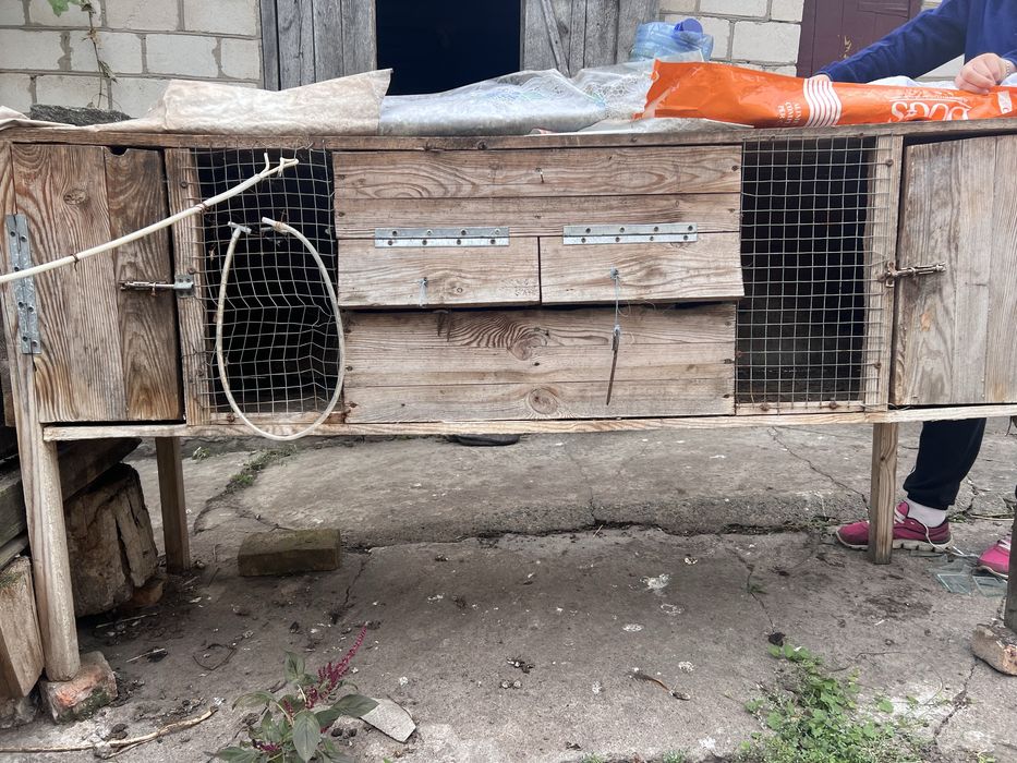 Клітки для кролів