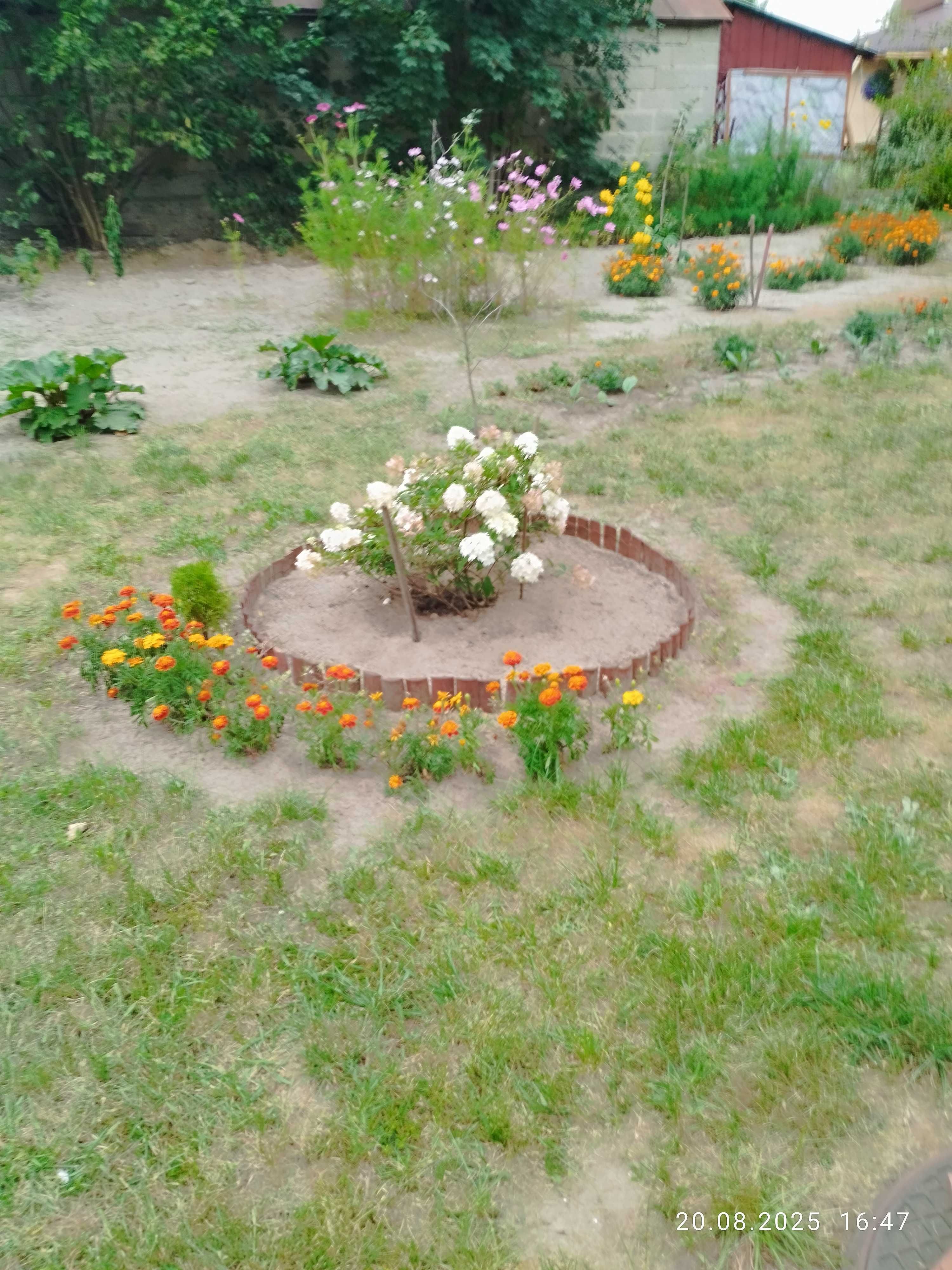 Sprzedam Działkę Rekreacyjno Budowlaną Pod Węgrowem