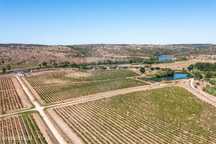 Herdade  para venda