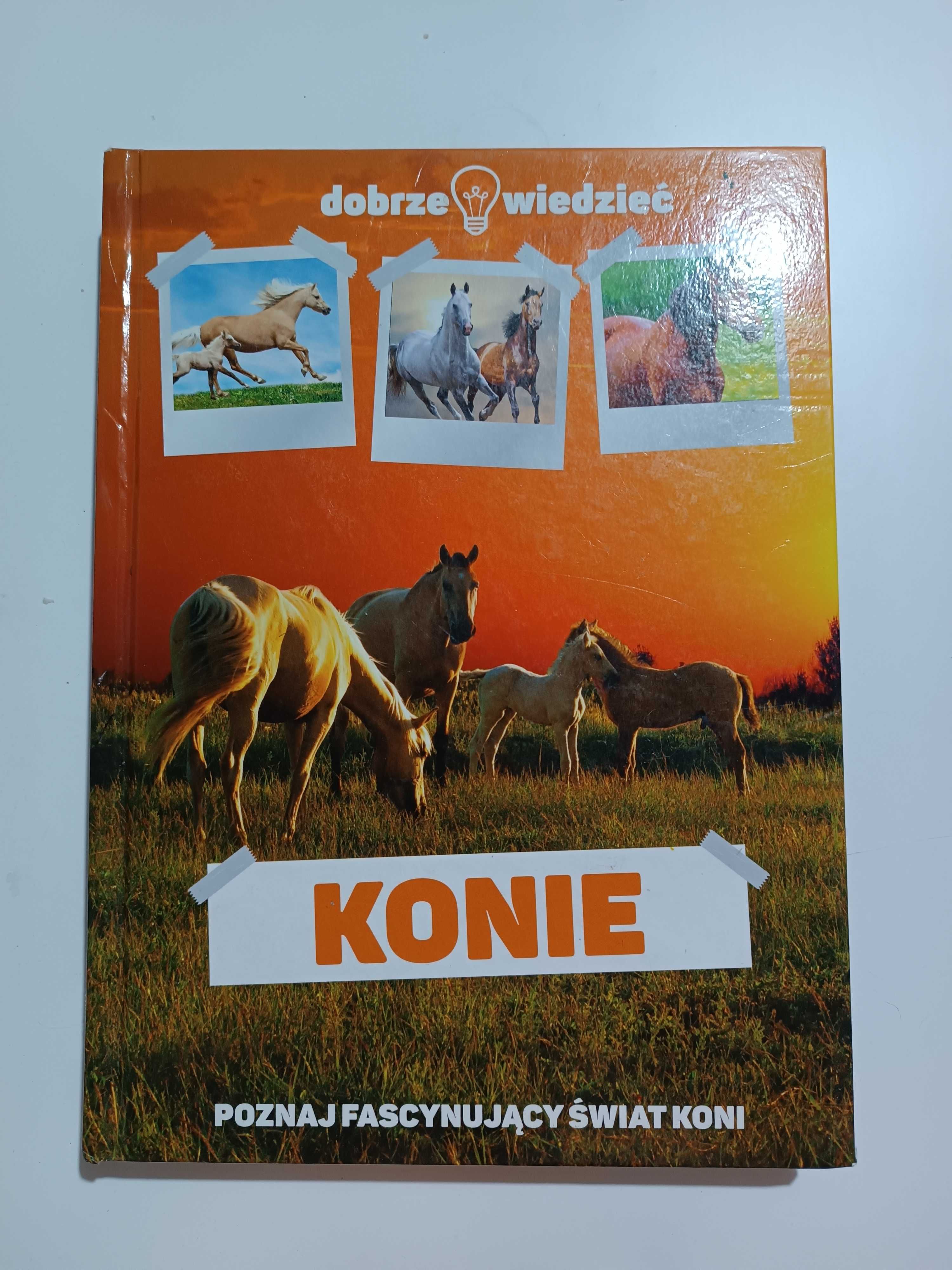 Album "Konie. Poznaj fascynujący świat koni"