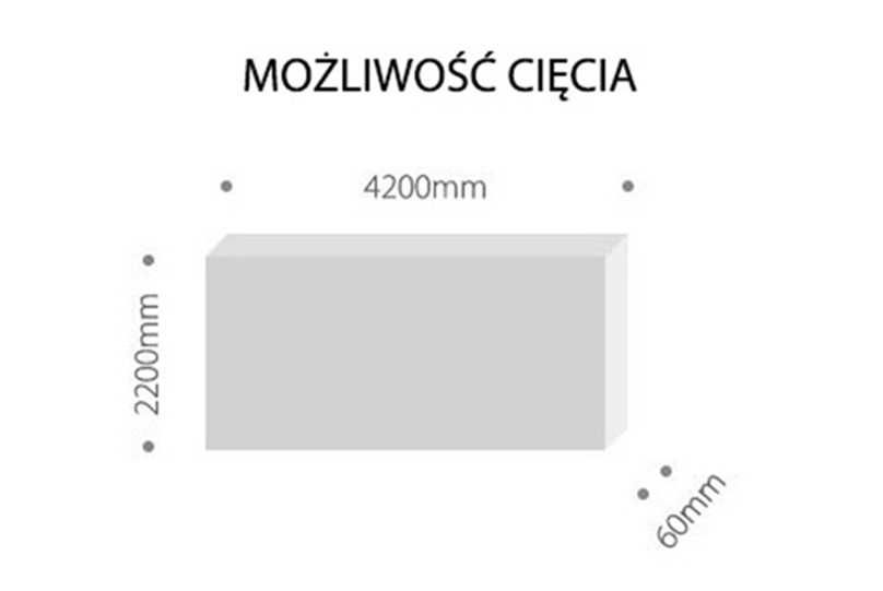 Piła panelowa panelówka wertykalna pionowa podcinak 4200x2200mm 5KM