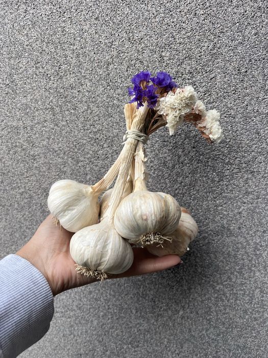 Czosnek z własnej uprawy