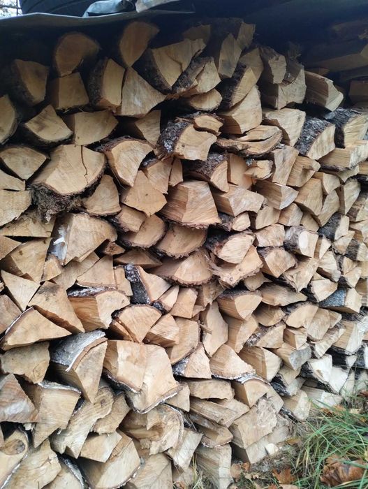 Sprzedam drzewo opałowe