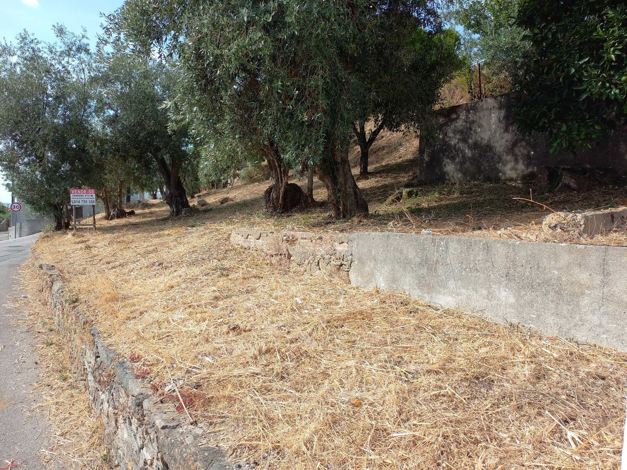TERRENO Urbano com viabilidade para construção