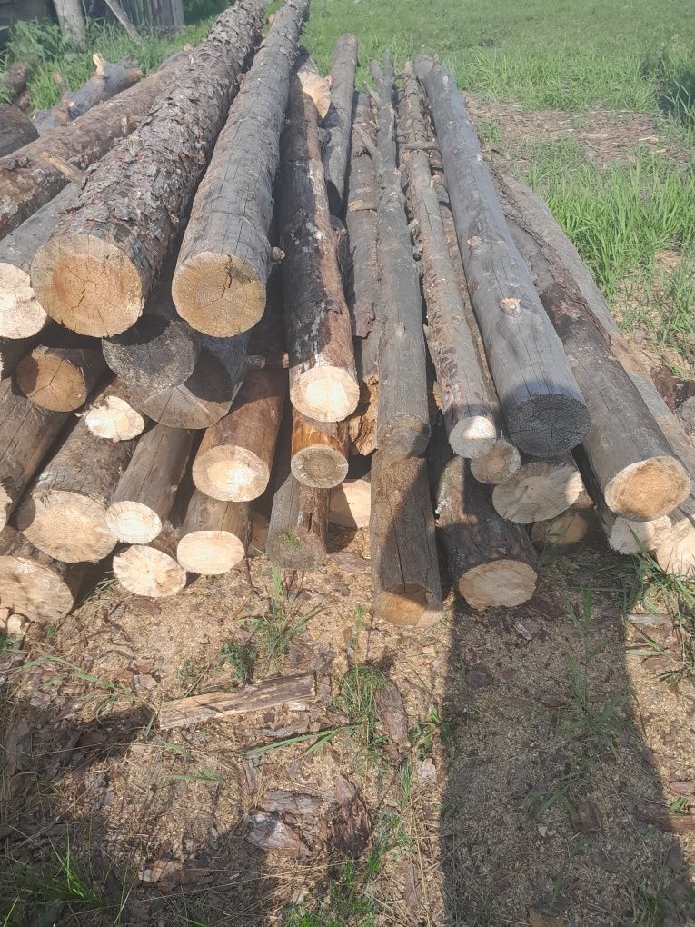 Продам дрова рубані  соснові