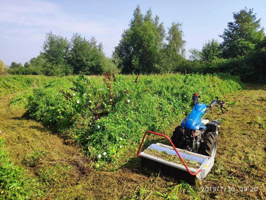 koszenie trawy - kosiarka rozdrabniająca, bijakowa