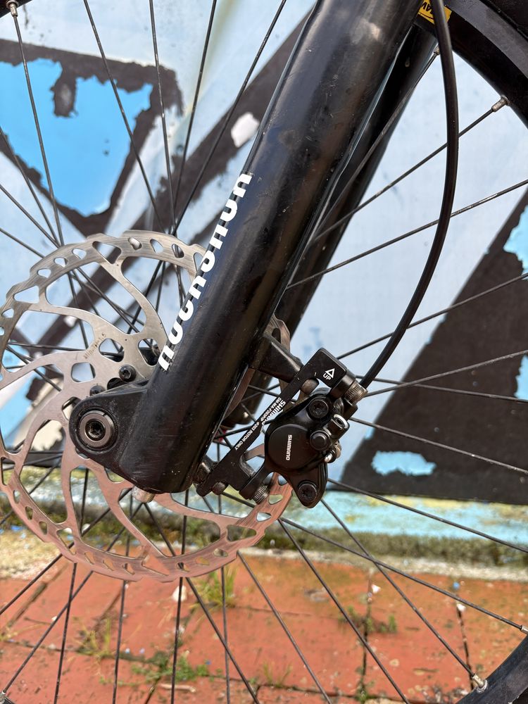 Specialized Big hit