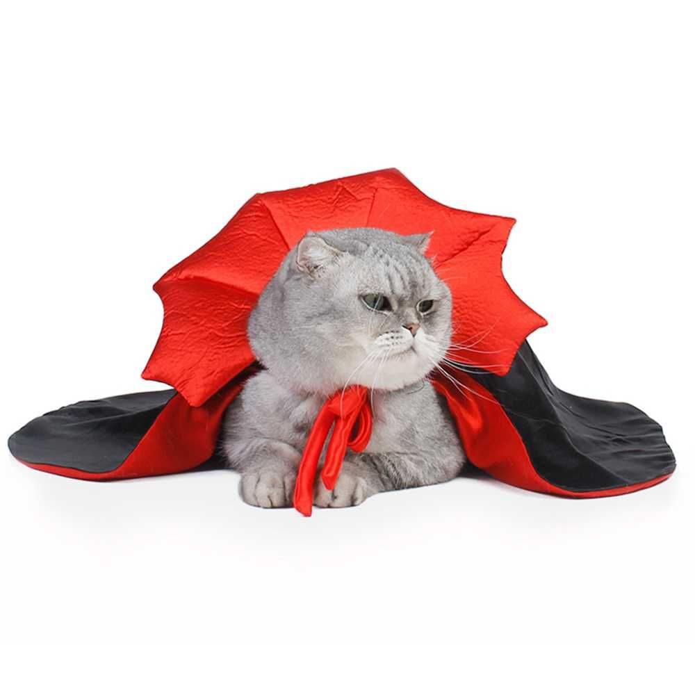 Halloween przebranie dla kota, przebranie dla psa wampir