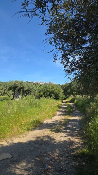 Excelente Quinta com potencial para turismo rural ou mesmo particular.