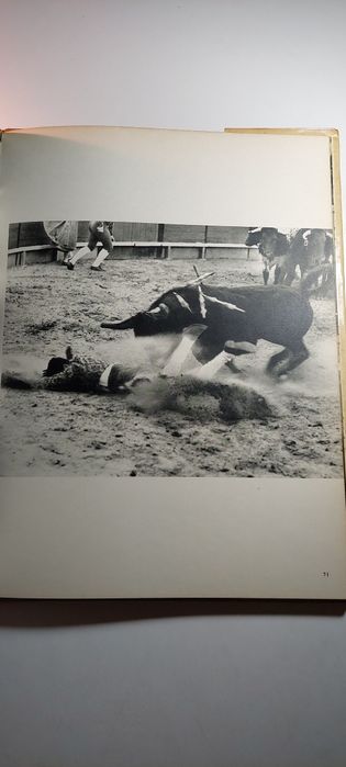 Touros em Portugal - Mascarenhas Barreto (1962)