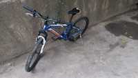 CROSSRIDE shark 26" mtb