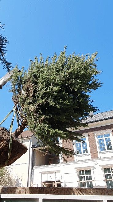 Ландшафтный дизайн свой питомник растений