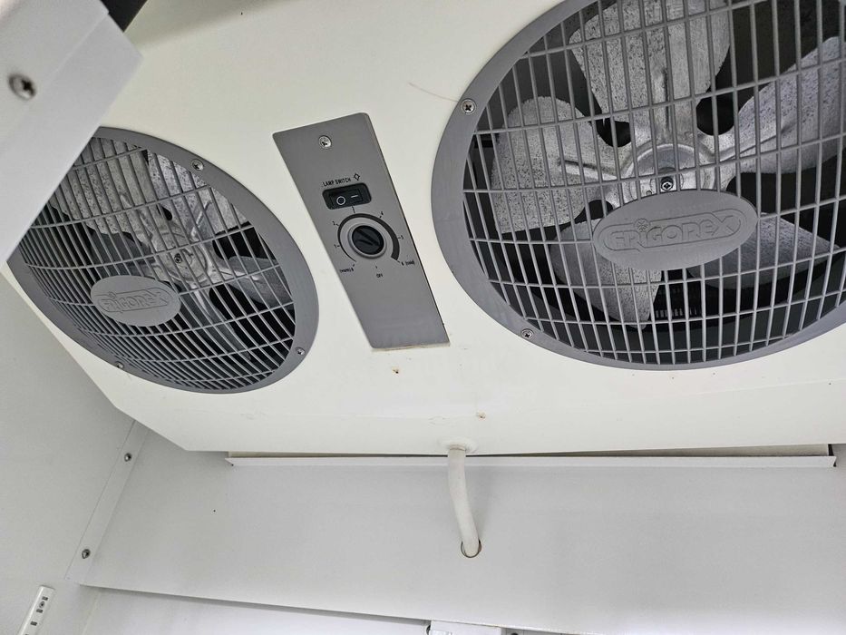 Mural refrigerado para frutas e sobremesas