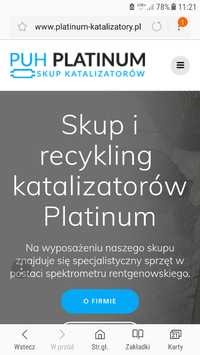 Skup i recykling katalizatorów Platinum